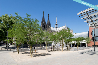 Umgestaltung der Domumgebung